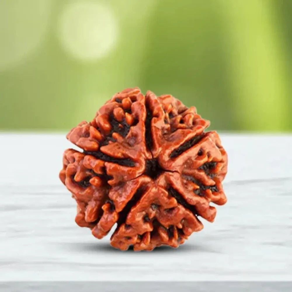 🤌🤌 Y a D a V 💓 💫 R a V i ✨

🌿🙏 Panch Mukhi Rudraksha Benefits | पंचमुखी रुद्राक्ष के लाभ 🙏🌿

✨ Five-faced beads or Panch Mukhi Rudraksha are safe and beneficial for everyone, whether man, woman, or child. It supports overall well-being, health, and inner freedom. 🌸 It helps lower blood pressure, calms the nerves, and promotes peace, balance, and alertness in the nervous system. 🧘‍♂️💫

🌿✨ पंचमुखी रुद्राक्ष के लाभ ✨🌿

🙏 पंचमुखी रुद्राक्ष सभी के लिए लाभदायक माना जाता है, चाहे वह पुरुष हो, महिला ह